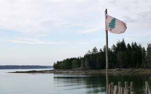 Maine ocean landscape with the original 1901 Maine flag flying on a weathered pole. Ocean water big clouds in the sky deep shadows of light.